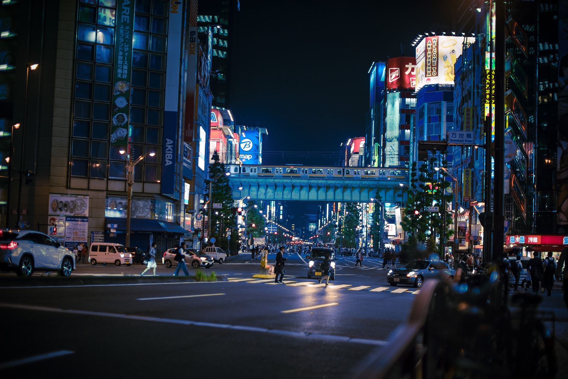 akihabara night